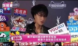 胡冰卿爆料真假视频大全,揭秘娱乐圈幕后真相